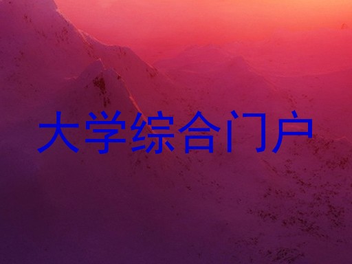 大学综合门户