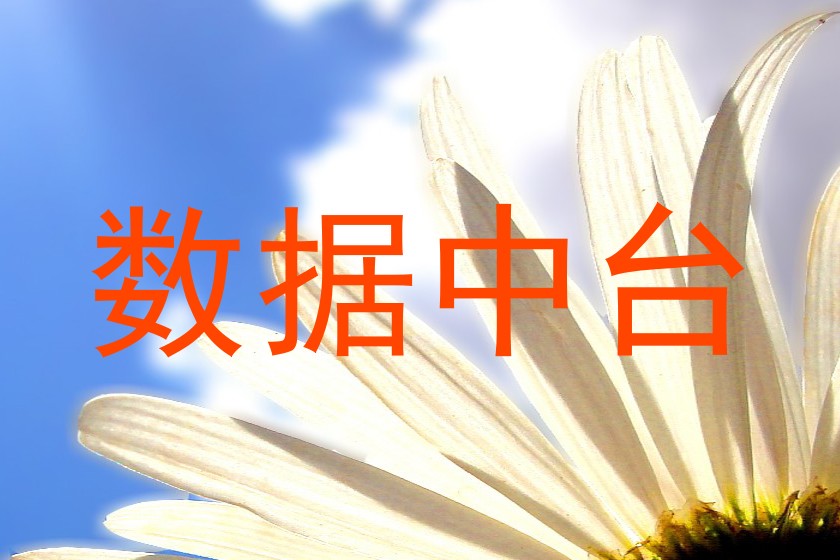 数据中台