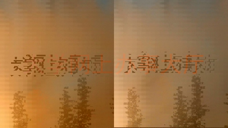 大学网上办事大厅