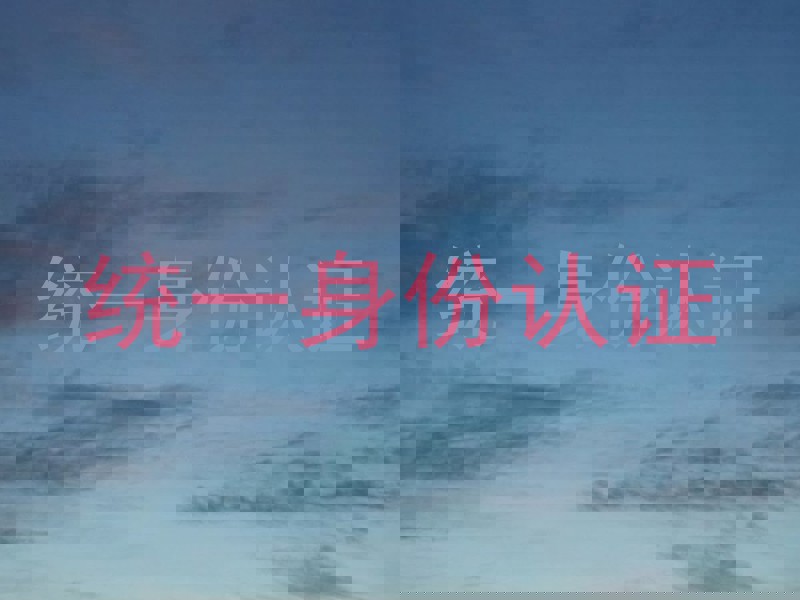统一身份认证