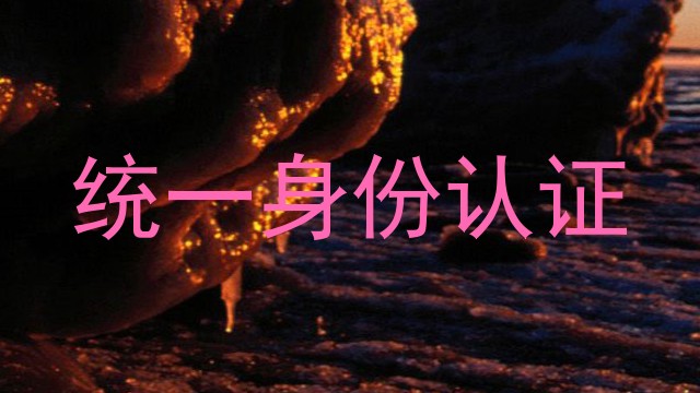 统一身份认证