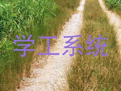 学工系统