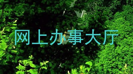 网上办事大厅