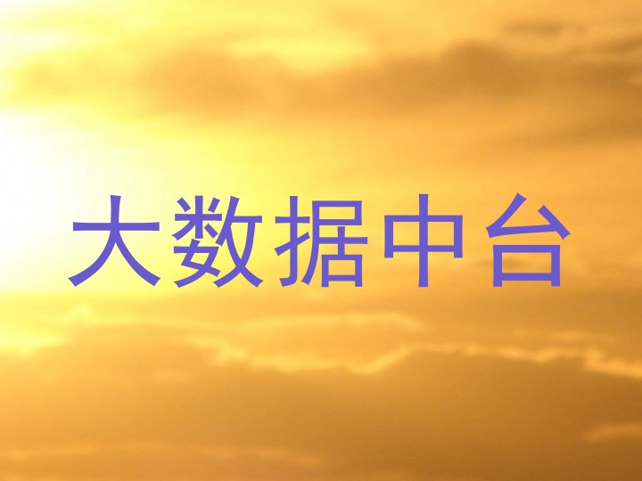 大数据中台