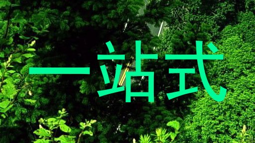 一站式
