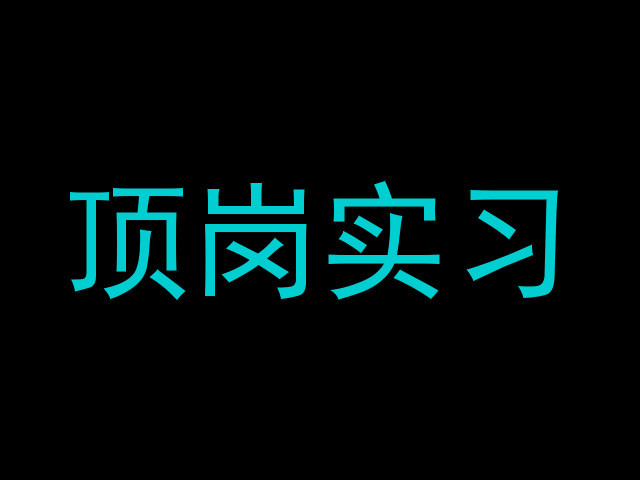顶岗实习