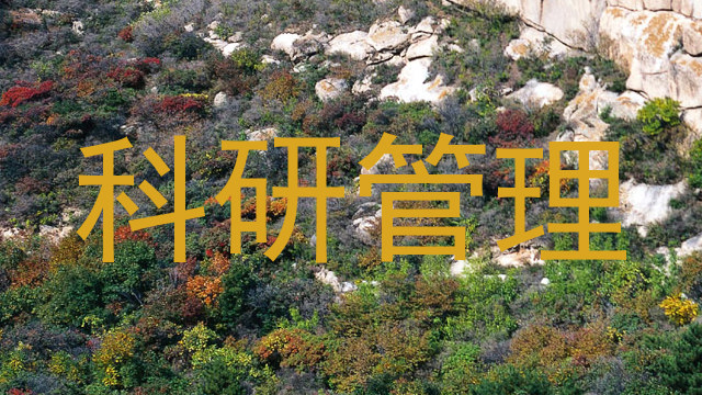 科研管理