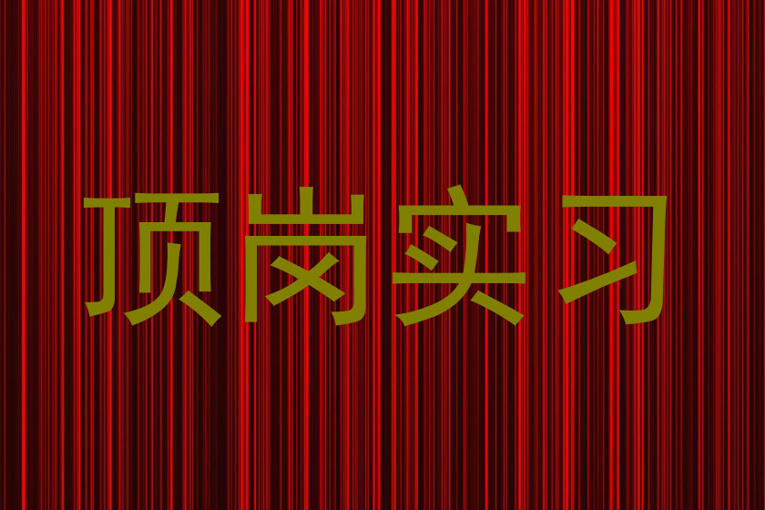 顶岗实习