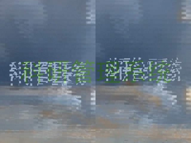 科研管理系统