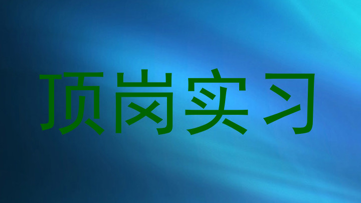 顶岗实习