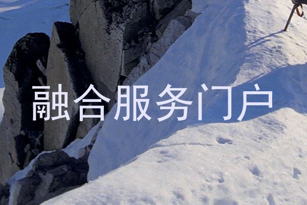融合服务门户