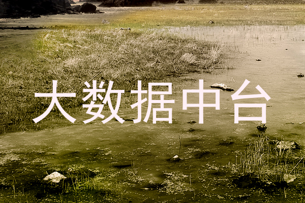 大数据中台