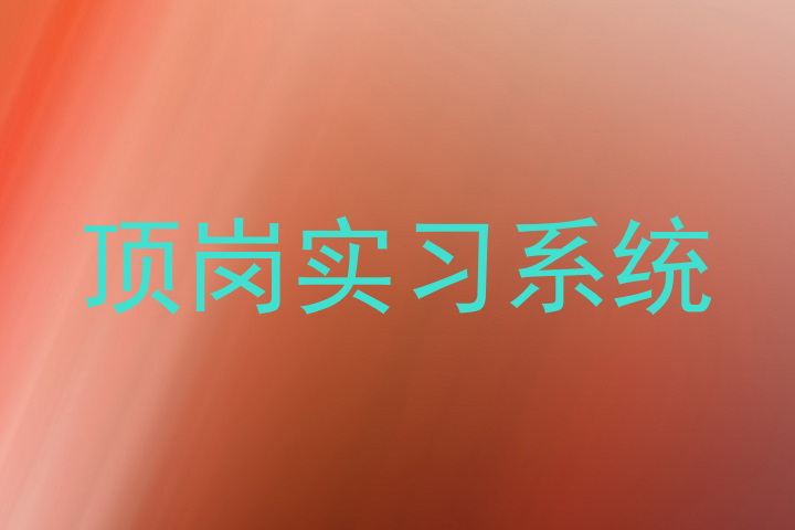 顶岗实习系统