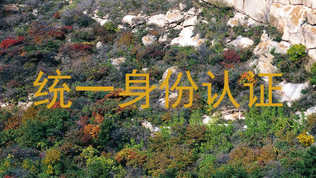 统一身份认证