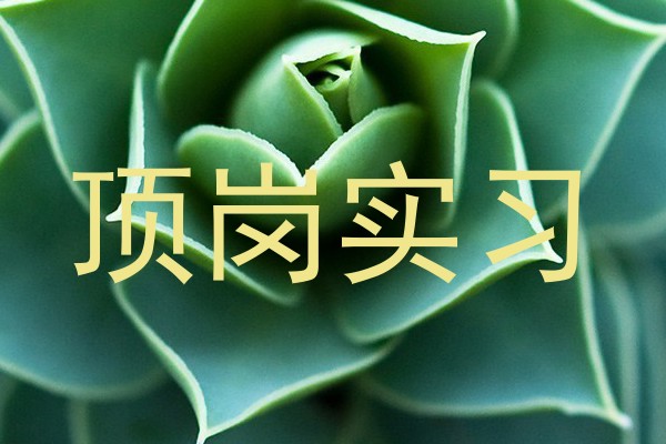 顶岗实习