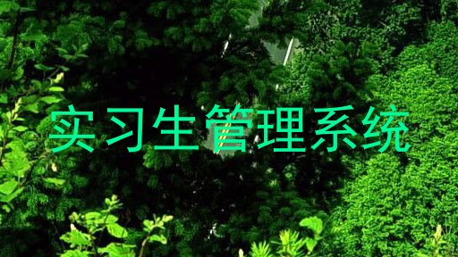 实习生管理系统