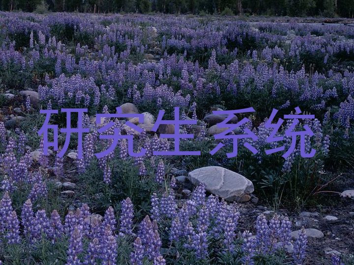 研究生系统
