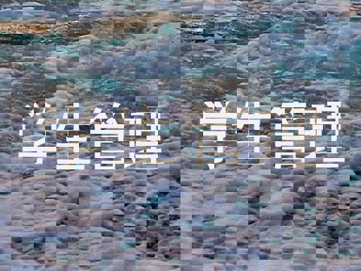 学生管理