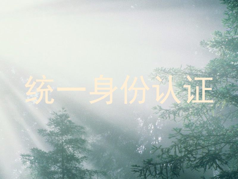 统一身份认证