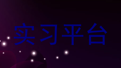 实习平台