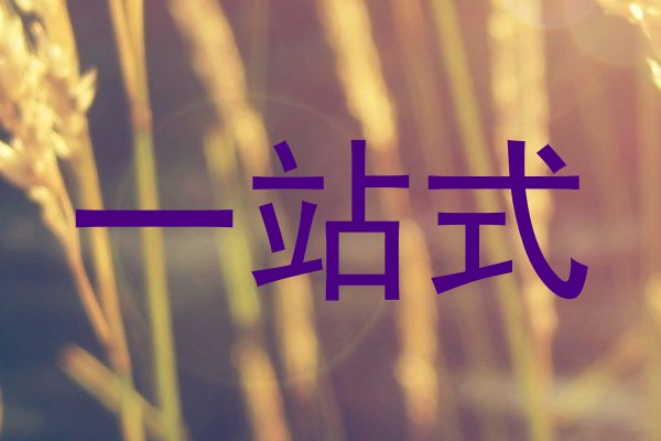 一站式
