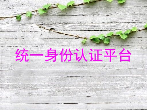 统一身份认证平台