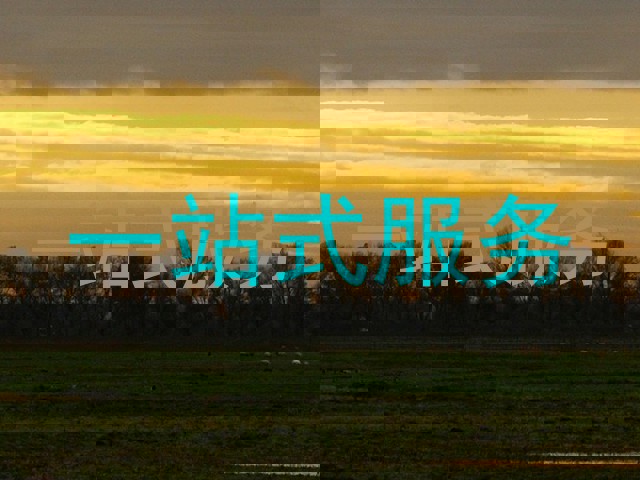 一站式服务