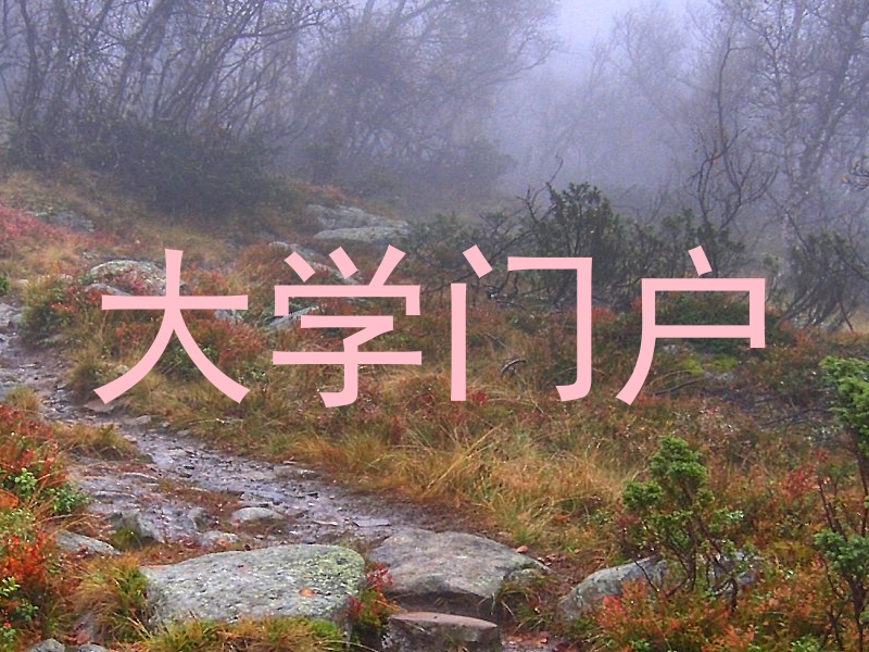 大学门户