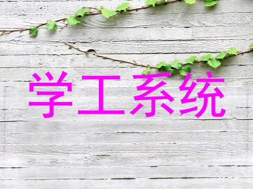 学工系统