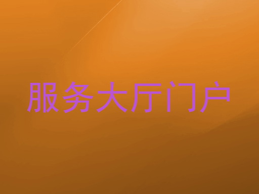 服务大厅门户