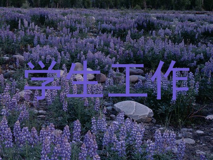 学生工作