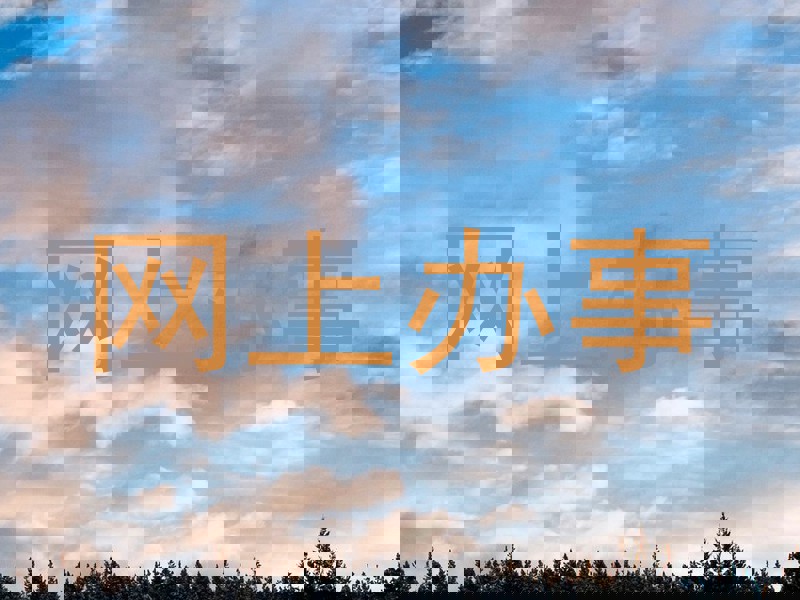 网上办事