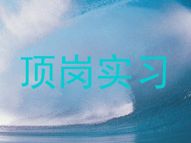 顶岗实习