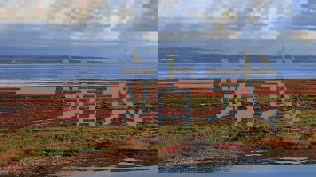 一站式