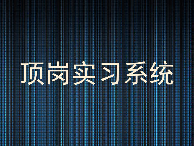 顶岗实习系统