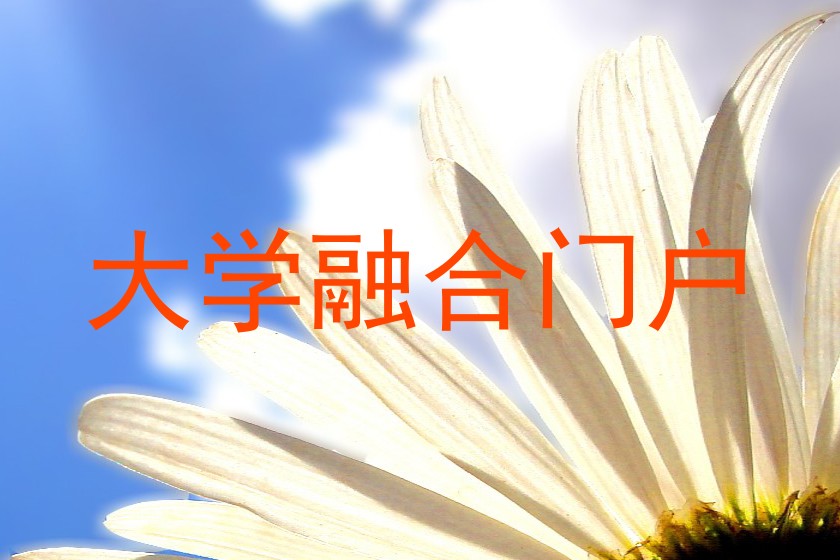 大学融合门户