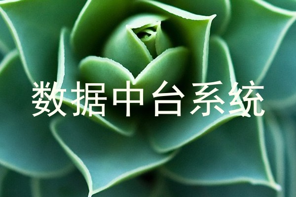 数据中台系统