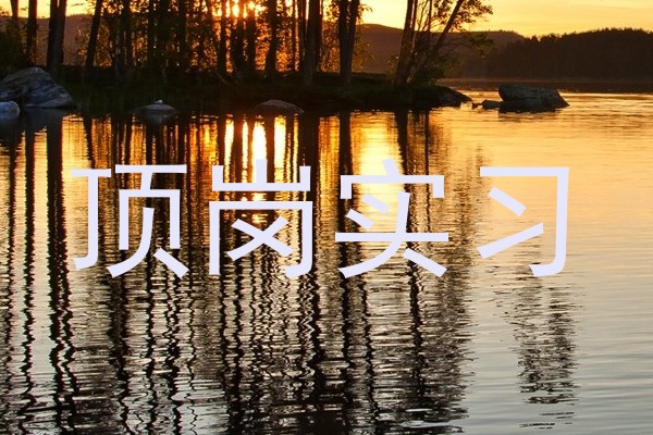 顶岗实习