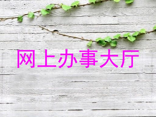 网上办事大厅