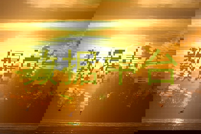 数据中台