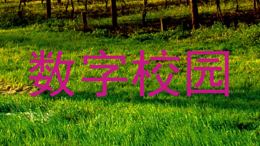 数字校园