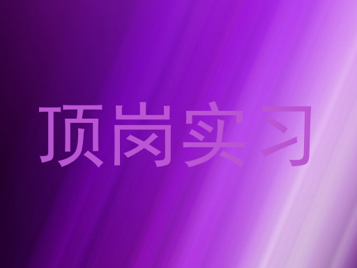 顶岗实习