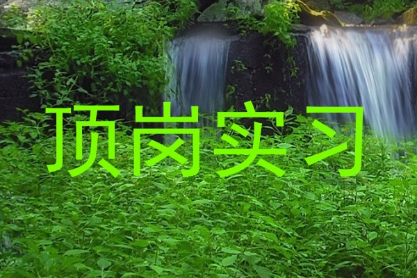 顶岗实习