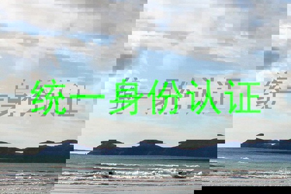 统一身份认证