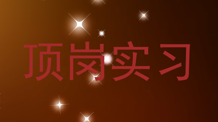 顶岗实习