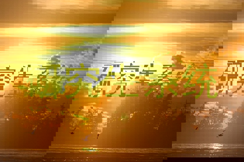 研究生系统