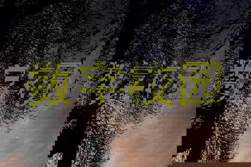 数字校园