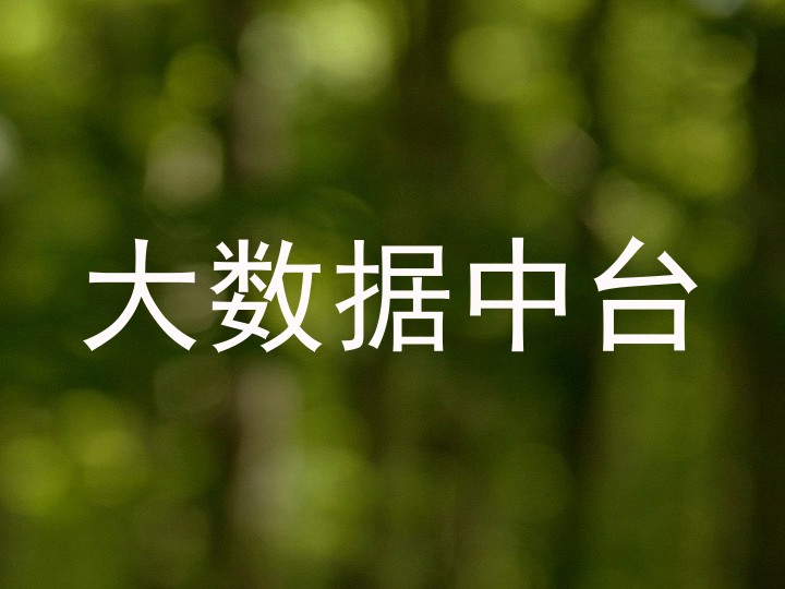 大数据中台