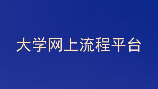 大学网上流程平台