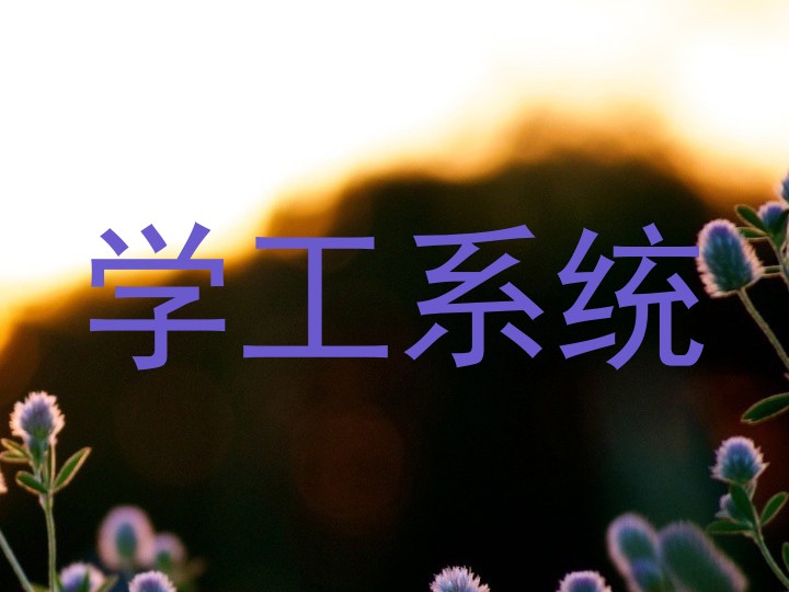 学工系统